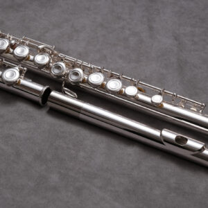 Model 1 - beginner student flute