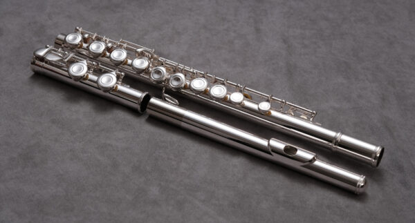 Model 1 - beginner student flute