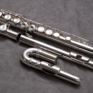 beginner flute with curved headjoint
