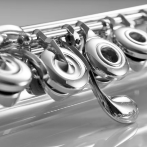 Matija 202 L-series flute with C# trill